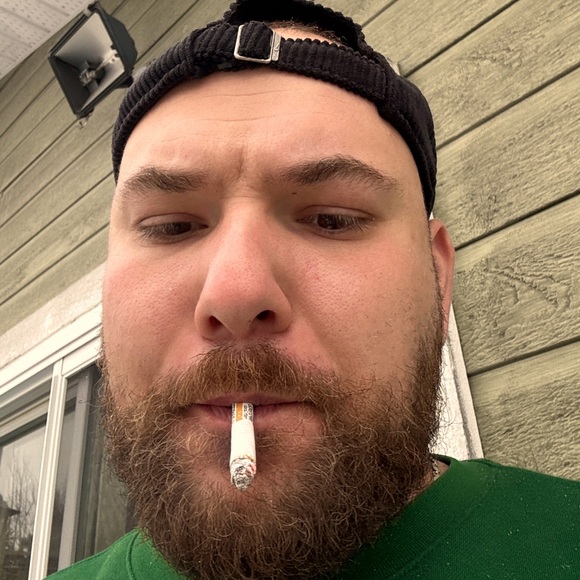 Meet your Posher, Sebastian - Picture 1 of 1